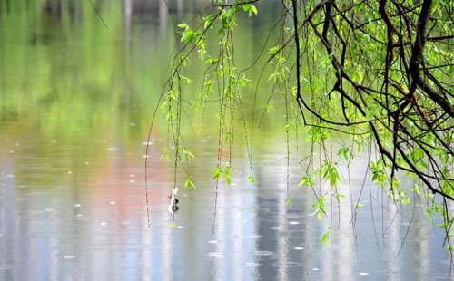 雨中的守护者 —— 化隆珍珠棉的应用实践